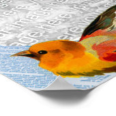 Vogels die je eigen foto maken poster (Hoek)