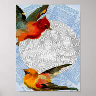 Vogels die je eigen foto maken poster
