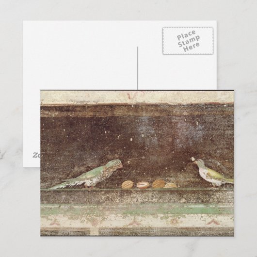 Vogels die noten eten briefkaart (Voorkant / Achterkant)
