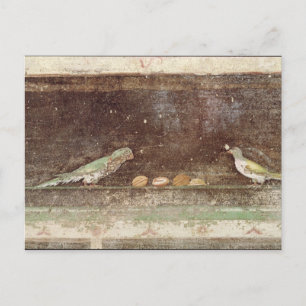 Vogels die noten eten briefkaart