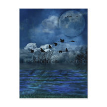 Vogels die 's nachts vliegen