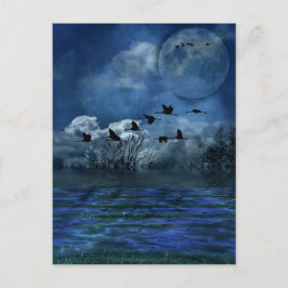 Vogels die 's nachts vliegen briefkaart
