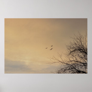 Vogels die vliegen op het Poster Sunset