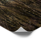 Vogels die zonnezonneschijnafdrukken uitvoeren - K Poster (Hoek)