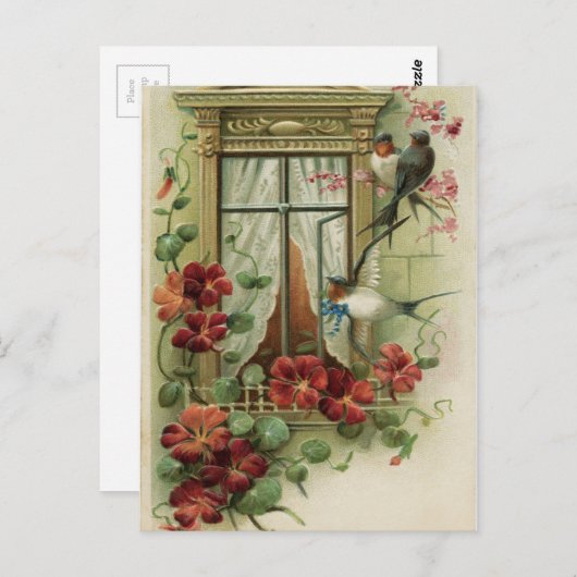 vogels door het raam briefkaart (Voorkant / Achterkant)