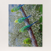 Vogels - draaistellen legpuzzel (Verticaal)