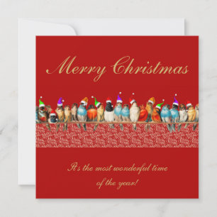 Vogels Dragen Santa Hats Kerstmis Groet Kaart