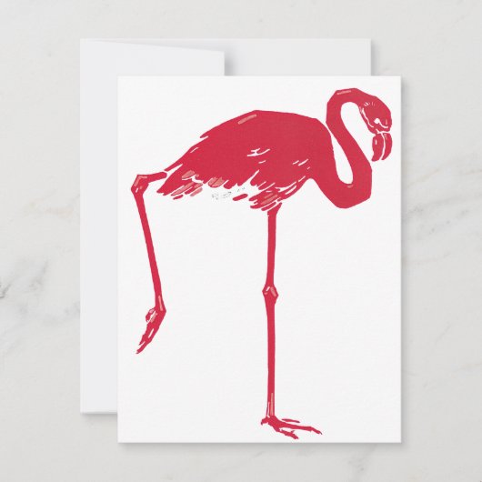  vogels, een roze flamingo met één been omhoog (Voorkant)