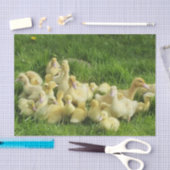 vogels, eenden, eenden, geel, natuur, schattig, ba tissuepapier (Craft)