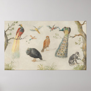 Vogels en apen - Jan van Kessel Fine Art Poster