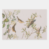 Vogels en bladeren, romantisch huwelijk inpakpapier vel (Voorkant)