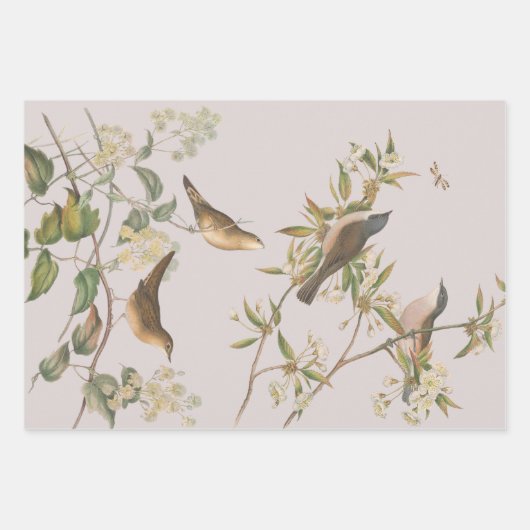 Vogels en bladeren, romantisch huwelijk inpakpapier vel (Voorkant)