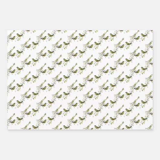 Vogels en Bloemen Wrapping Paper Assortiment (Voorkant 2)