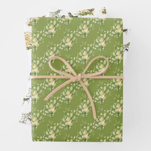 Vogels en Bloemen Wrapping Paper Assortiment (In situ)