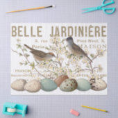Vogels en eieren Frans ontkoppelingspagina Tissuepapier (Craft)