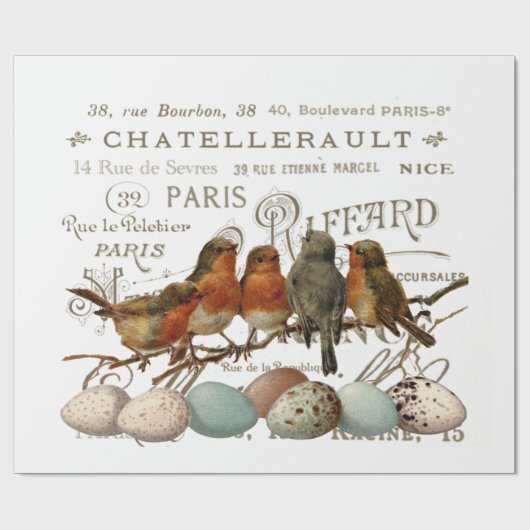 Vogels en eieren  Franse naamloze vennootschap Cadeaupapier (Vlak)