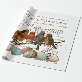 Vogels en eieren  Franse naamloze vennootschap Cadeaupapier