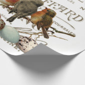 Vogels en eieren  Franse naamloze vennootschap Cadeaupapier (Hoek)