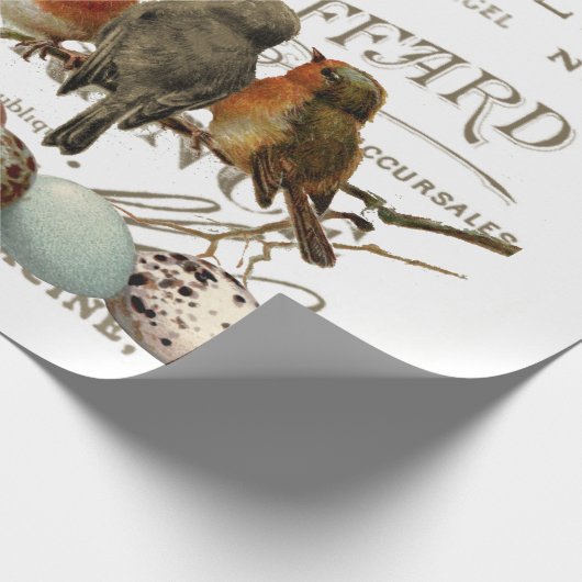 Vogels en eieren  Franse naamloze vennootschap Cadeaupapier (Hoek)