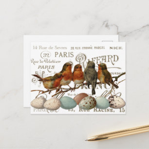 Vogels en eieren Franse stadsnamen Scrapbook Briefkaart