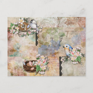  vogels en Ephemera Collage Briefkaart
