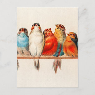 Vogels en kalm briefkaart