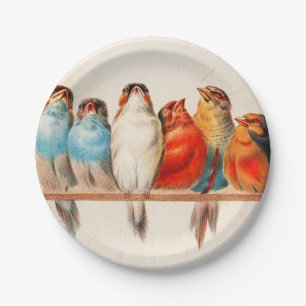 Vogels en kalm papieren bordje
