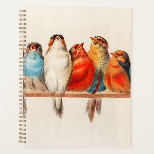 Vogels en kalm planner (Voorkant)