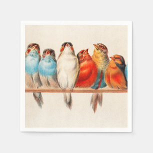 Vogels en kalm servet