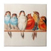 Vogels en kalm tegeltje (Voorkant)