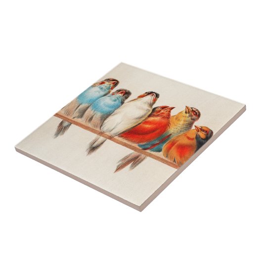 Vogels en kalm tegeltje (Zijkant)