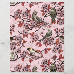 Vogels en kersenbloesem op roze rood