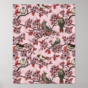 Vogels en kersenbloesem op roze rood poster