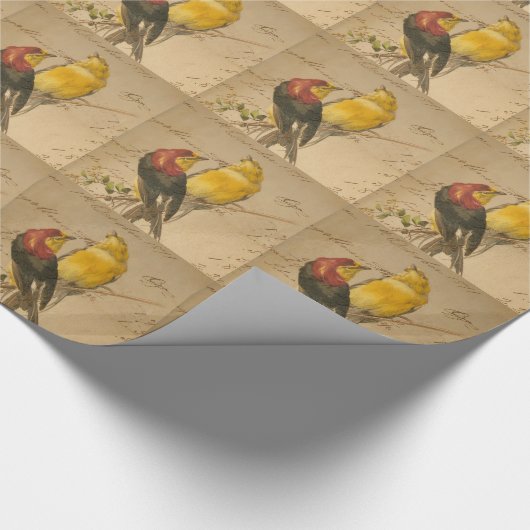 vogels en langerlijker papier (Hoek)