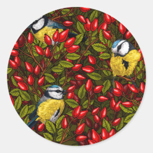 Vogels en rozen van honden, groen en rood ronde sticker