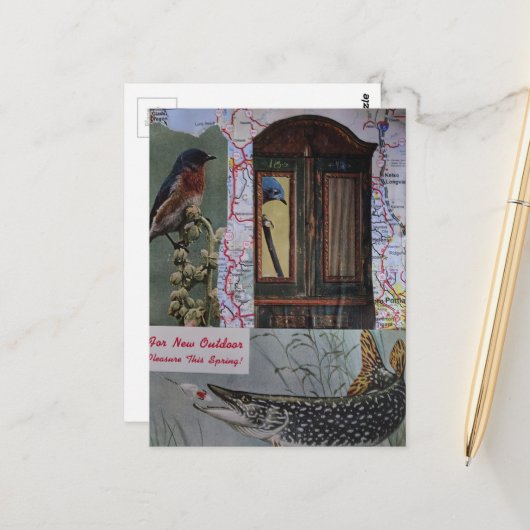 Vogels en Vissen Retro Collage Briefkaart (Voorkant / Achterkant in situ)