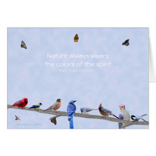 Vogels en vlinders draag kleuren van de geest: