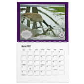 Vogels en water (grootschalig) kalender (Mar 2027)