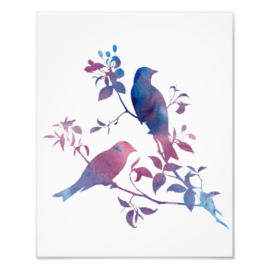 vogels foto afdruk (Voorkant)