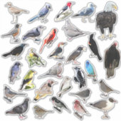 Vogels Galore Sticker (Voorkant)