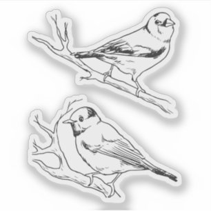 Vogels handgetekend zwart & wit Modern natuurlijk Sticker
