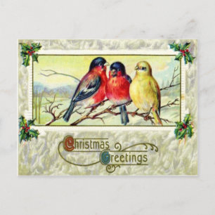 Vogels & Holly Briefkaart