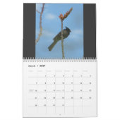 Vogels in Arizona Kalender (Mar 2027)