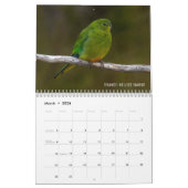 vogels in Australië 2021 dierkalender Kalender (Mar 2026)
