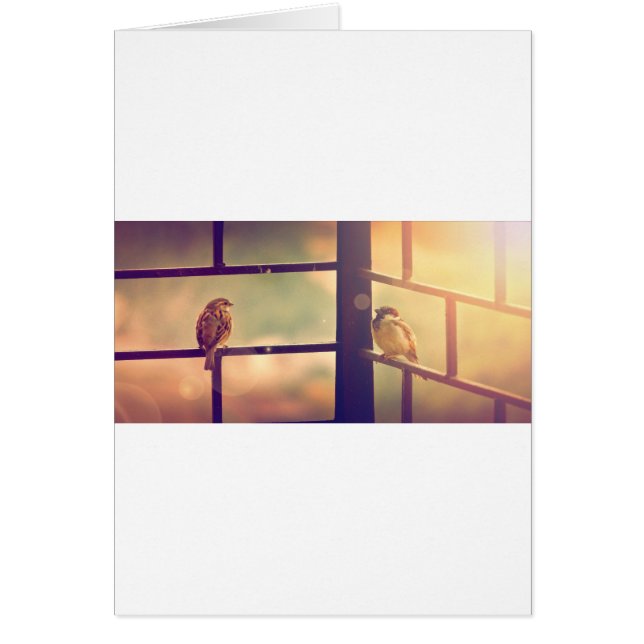 Vogels in avondzon (Voorkant)