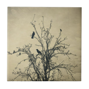 Vogels in de boom - tegeltje