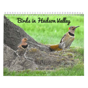 Vogels in de Hudsonvallei Kalender