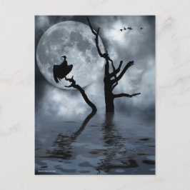 Vogels in de nacht briefkaart