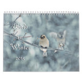 Vogels in de winterkalender 2015 kalender (Hoes)