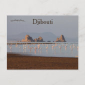 Vogels in Djibouti Briefkaart (Voorkant)